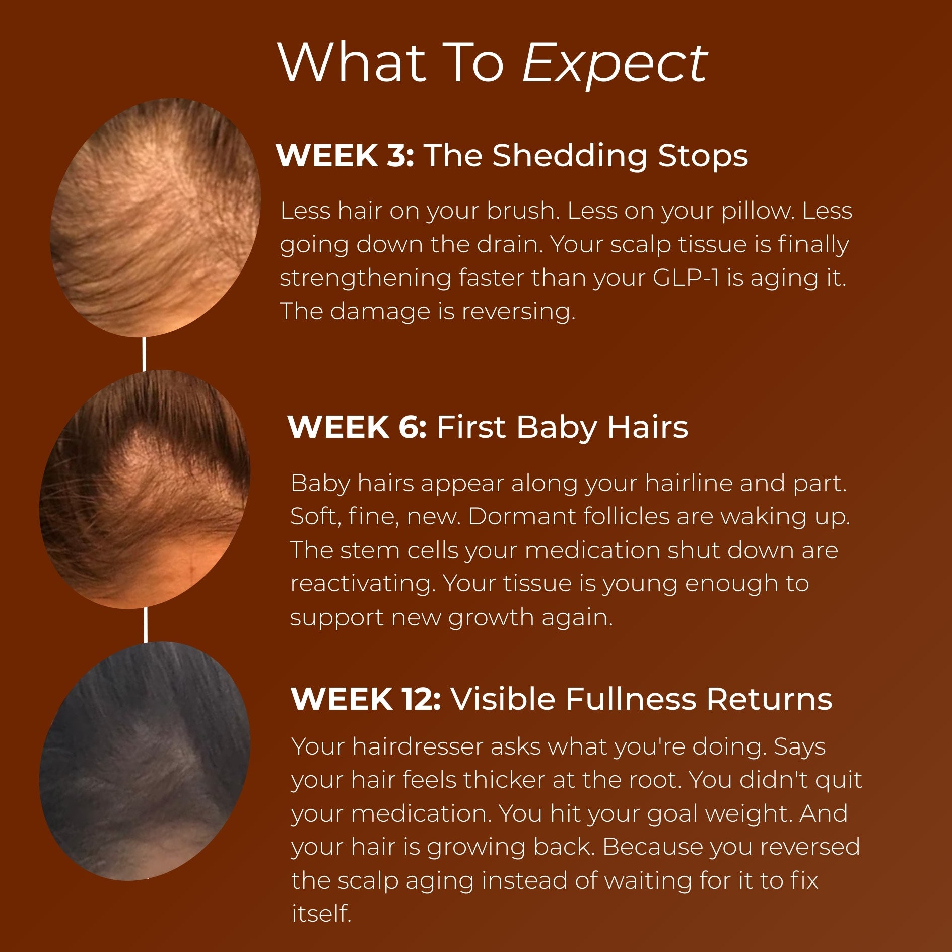 Hair Revive by SeraLabs
